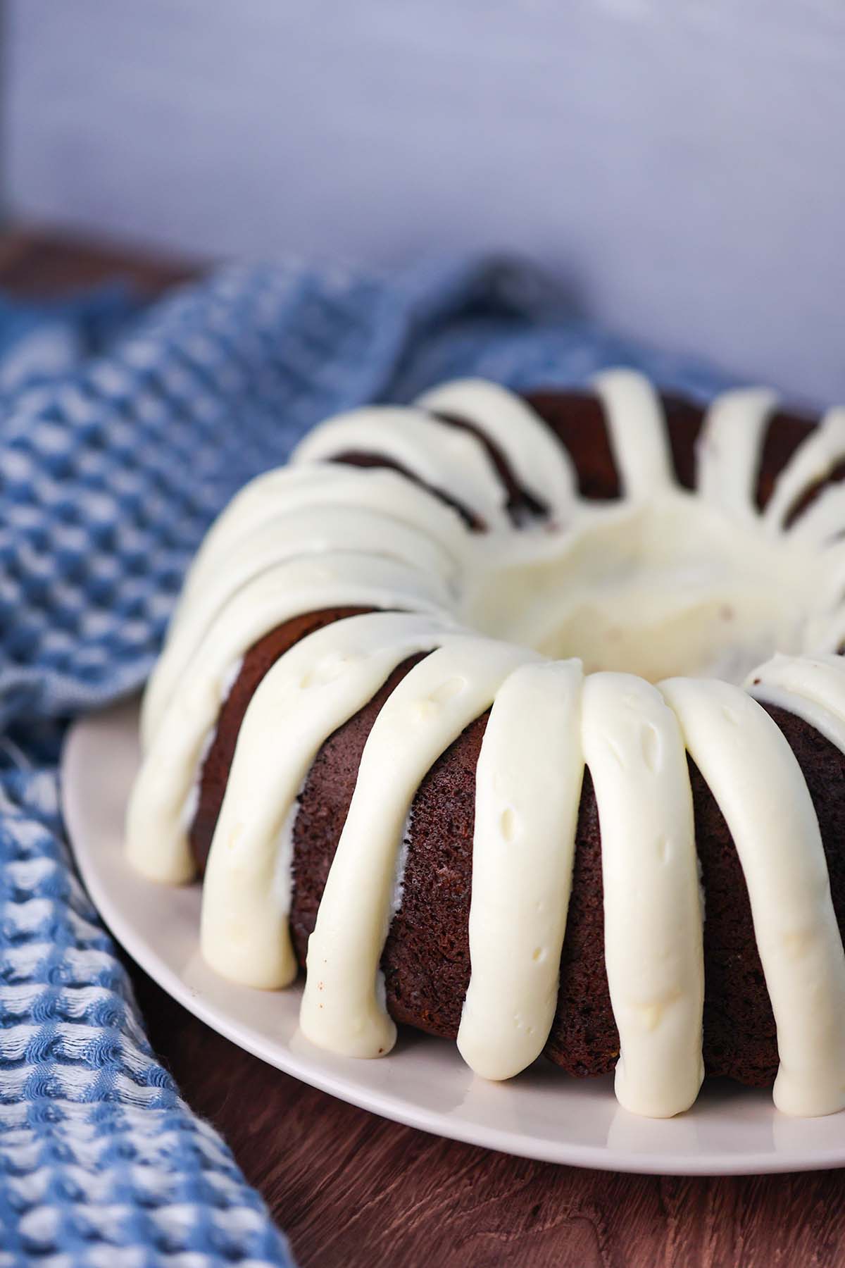 Bundt Cake {TWO Recipes: Chocolate & Vanilla!} - Chelsea's Messy Apron